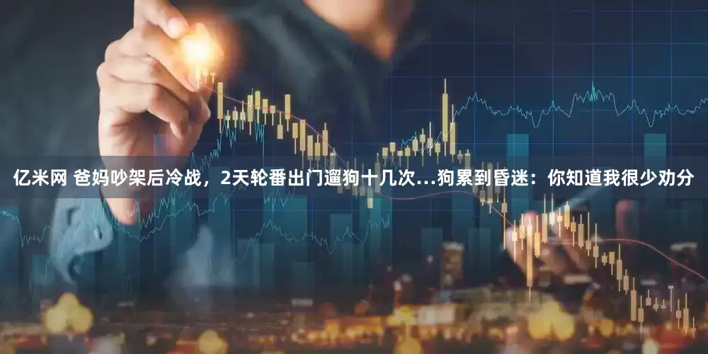 亿米网 爸妈吵架后冷战，2天轮番出门遛狗十几次…狗累到昏迷：你知道我很少劝分