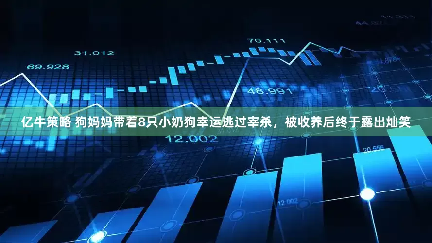 亿牛策略 狗妈妈带着8只小奶狗幸运逃过宰杀，被收养后终于露出灿笑