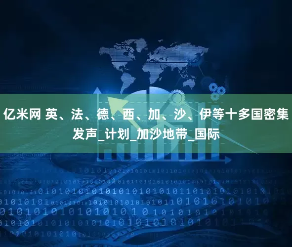 亿米网 英、法、德、西、加、沙、伊等十多国密集发声_计划_加沙地带_国际